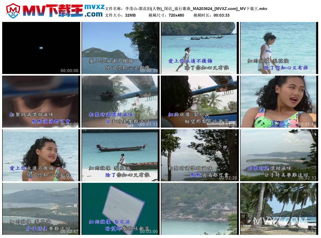 李茂山-梨花泪(人物)_国语_流行歌曲_MA203624